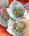 Baby Breath Mini Bouquet Bundle (3 pcs)