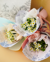 Chamomile Mini Bouquet Bundle (3 pcs)