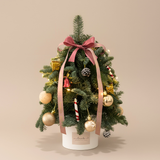 Christmas Magic - Fresh Leaves