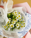 Chamomile Mini Bouquet Bundle (3 pcs)