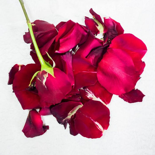 Red Roses Petals