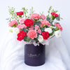 Cleo Carnation Flower Box (MD)