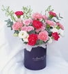 Cleo Carnation Flower Box (MD)