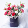 Cleo Carnation Flower Box (MD)