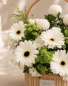 Silent Blossom Condolences Flower Basket