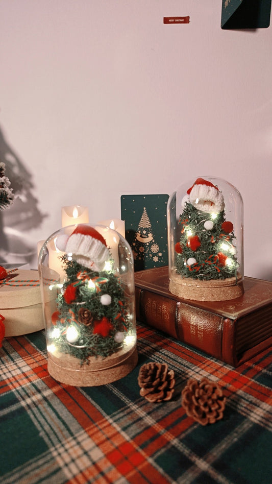 Christmas Preserved Flower Bell Jar