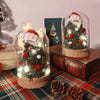 Christmas Preserved Flower Bell Jar | Laurels & Leafz