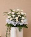 Peace in White Condolences Flower Stand with white gerberas, papermums and baby's breath, full arrangement